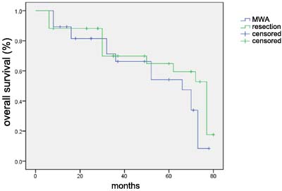 Overall survival curve for 28 patients in the MWA treatment group and 34 patients in control group.
