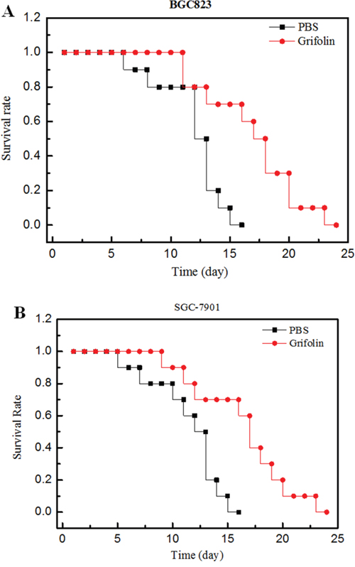 Anti-tumor efficacy of grifolin on human tumor bearing mice.