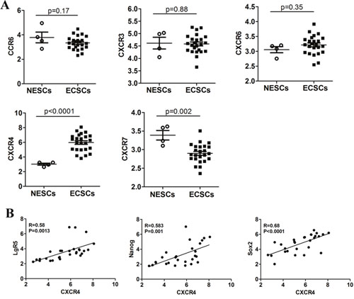 Expression of chemokine receptors in ECSCs.