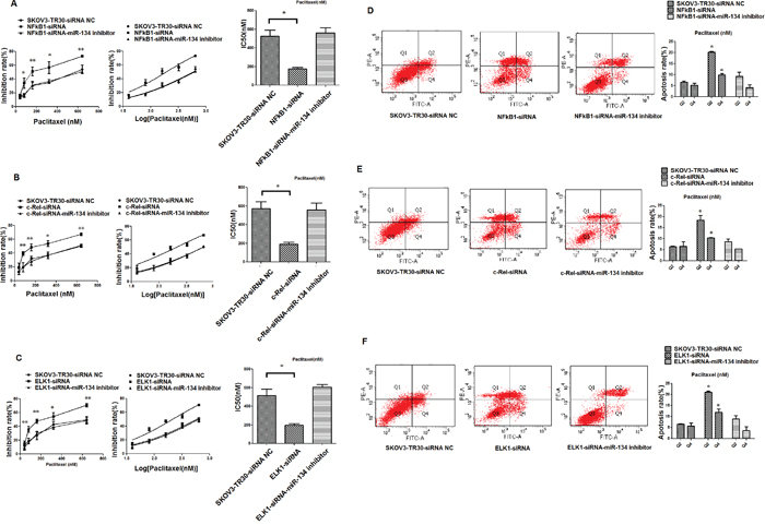 Knockdown of NF-&#x03BA;B1, c-Rel and ELK1 expression stimulates paclitaxel-sensitivity and promotes apoptosis in SKOV3-TR30 cells in the context of miR-134.
