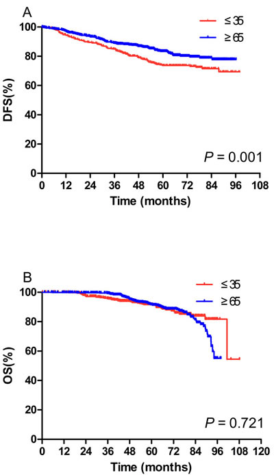 Kaplan-Meier curves of disease-free survival (DFS) (A) and overall survival (OS) (B) in the young population (