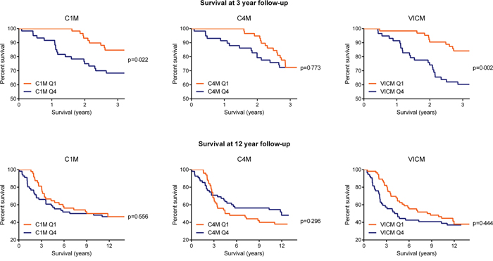 Percentage of women surviving cancer at 3 and 12 years follow-up, by C1M, C4M and VICM biomarker levels at baseline.