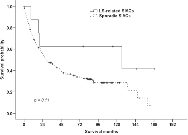 Survival of patients with LS-related and sporadic SIACs.