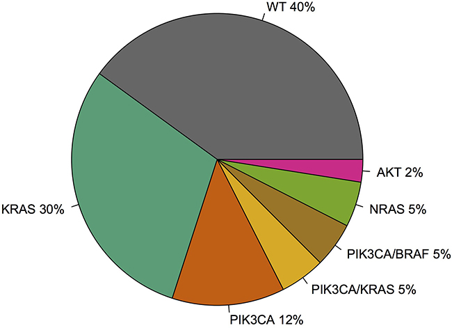 Summary of mutations identified in the cohort.