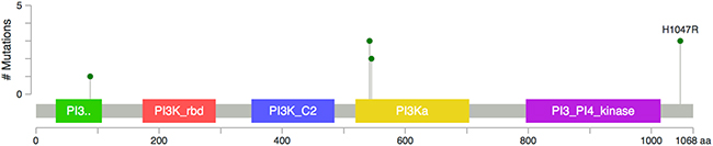 Mis-sense PIK3CA mutations identified in 9/28 patients including exon 1 (R88Q, n=1), exon 9 (E542K and E545K, n=5) and exon 20 (H1047R, n=3).