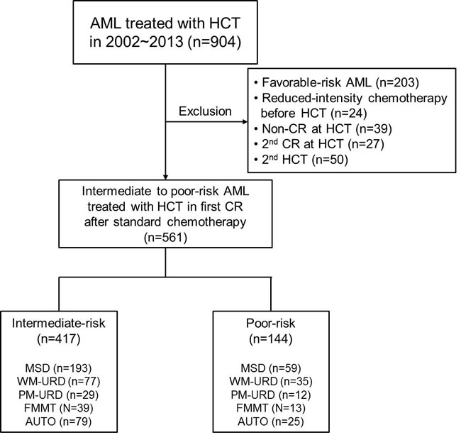 Consort diagram of analyzed patients in the current study.