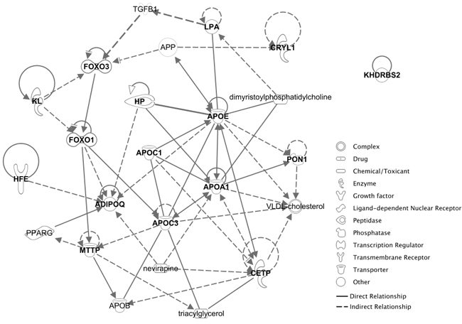 A network including 15 candidate epistatic longevity genes.