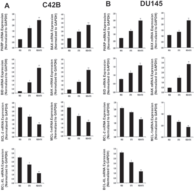 Validation of gene expression for pro-apoptotic, PARP and anti-apoptotic markers in PCa cells A. C4-2B and B. DU145 by qRT-PCR.