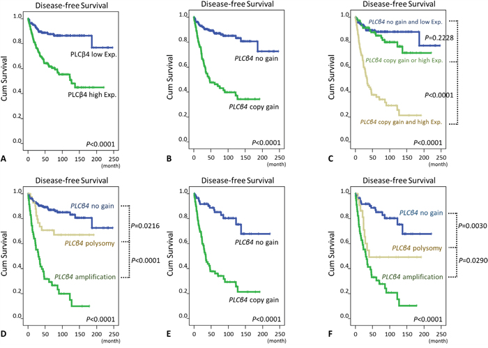 Kaplan-Meier analyses of univariate disease-free survival.