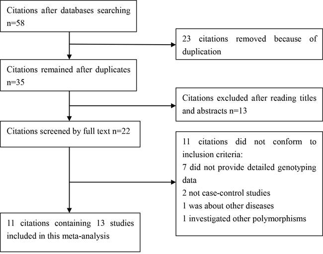 Selection for eligible citations included in this meta-analysis.