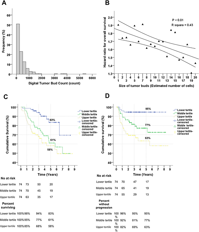 The frequency and survival analyses of the digital tumor bud count.