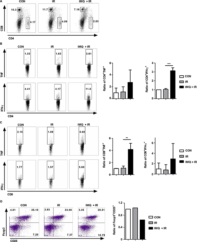 IMQ combined with IR enhances systemic anti-cancer immunity.