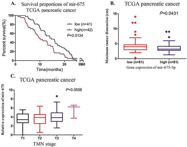 Clinical significance of miR-675-5p in pancreatic cancer from TCGA database.