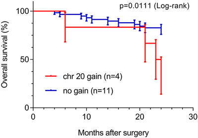 Overall survival analysis of sporadic ccRCC patients (n=64, 24 month follow-up), based on chromosome 20 copy number alteration.