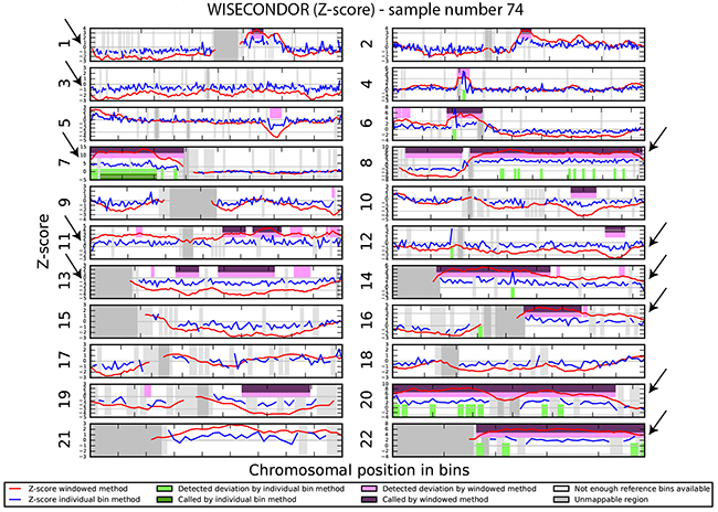 Chromosomal aberrations in cfDNA.