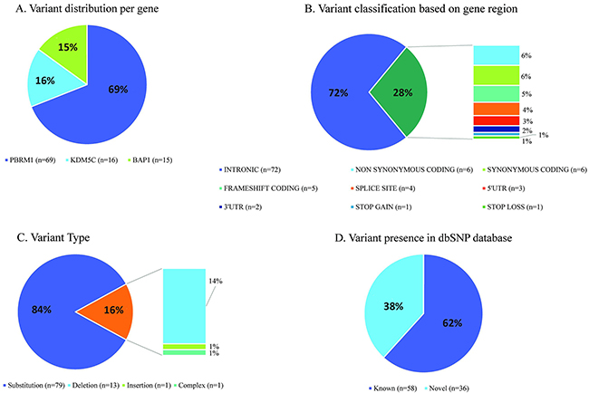 Statistics of somatic variant calling in tumors derived from Polish ccRCC patients.