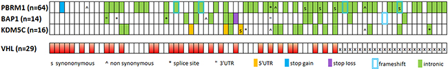 Distribution of variants in affected samples in relation to VHL mutations.