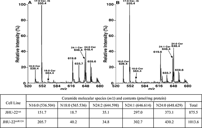 Mass spectra and quantification of ceramide molecular species.