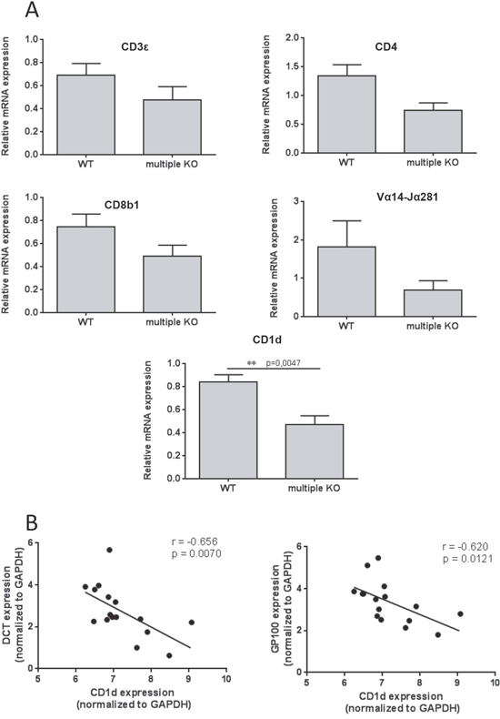 Decreased expression of CD1d in multiple KO mice.