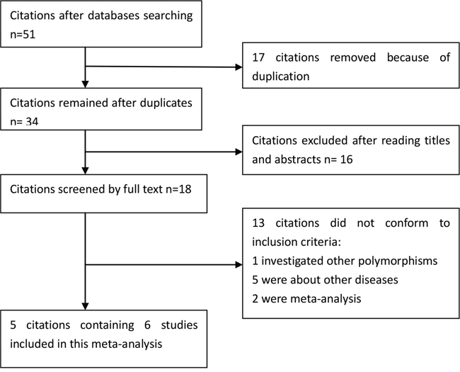 Selection for eligible publications included in this meta-analysis.