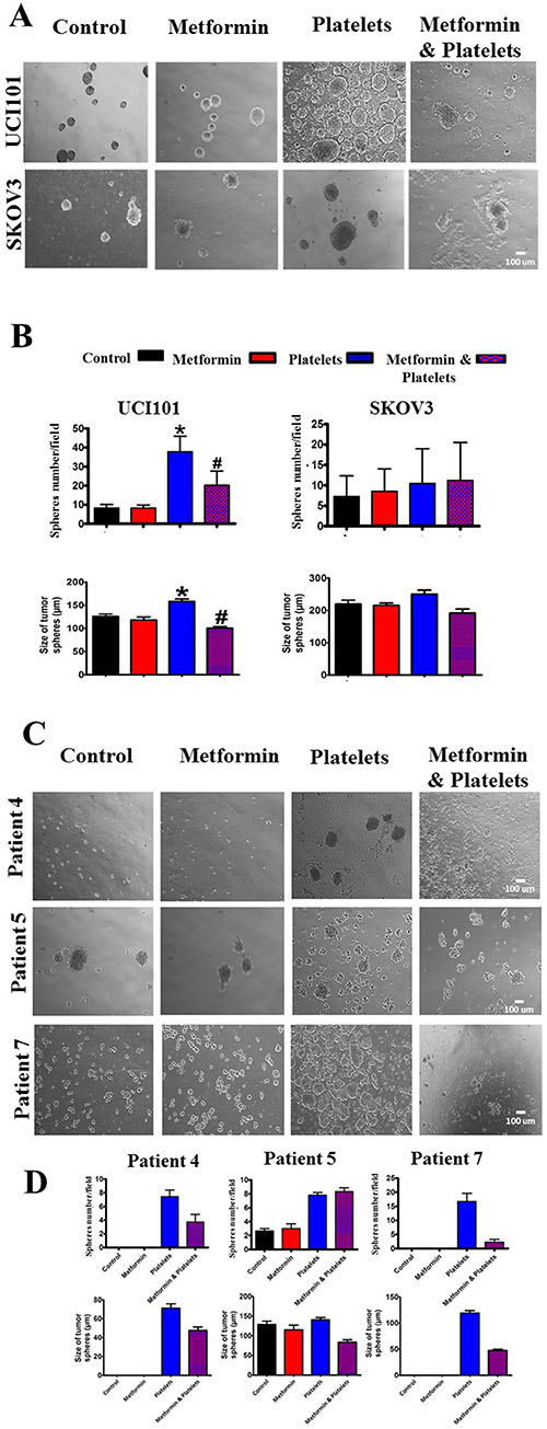 Platelets increase ovarian cancer sphere formation, an effect inhibited by metformin in the UCI101 cell line.