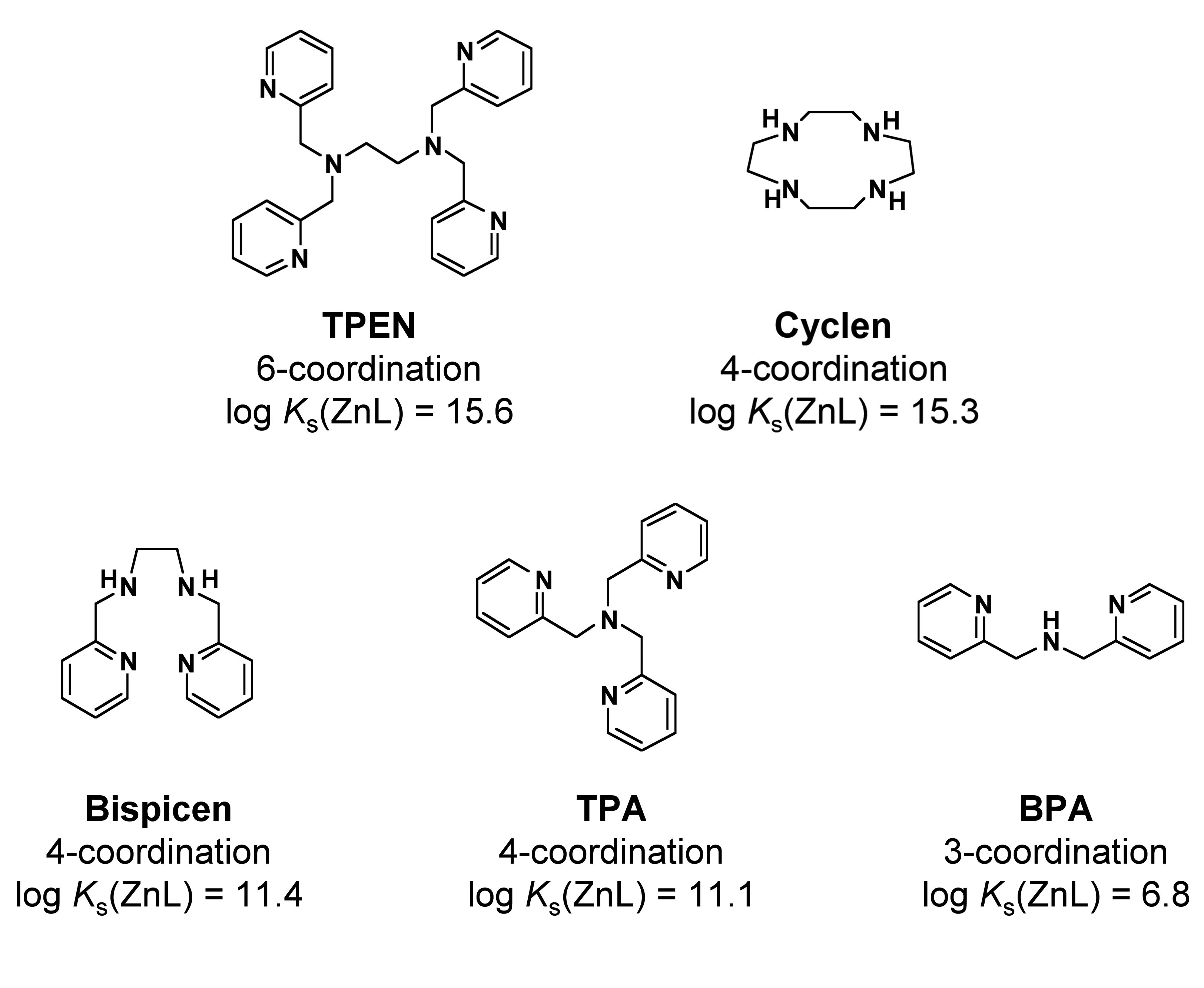 Zinc (II) chelators and their binding constants with Zn