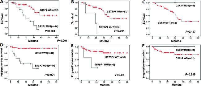 Kaplan-Meier curves for OS, PFS according to genotypes with statistical significance in univariate analysis.