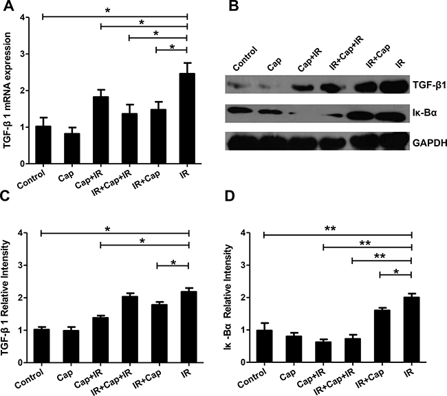 Captopril reduces TGF-&#x03B2;1 expression by inhibiting the transcriptional activity of NF-&#x03BA;B.