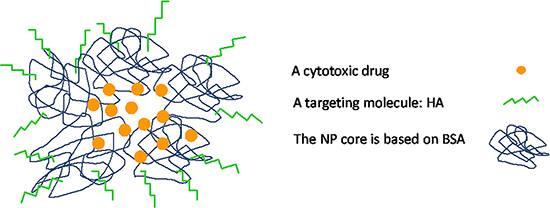 Schematic summary model of BSA-HA targeted nanovehicle entrapping a hydrophobic cytotoxic drug.