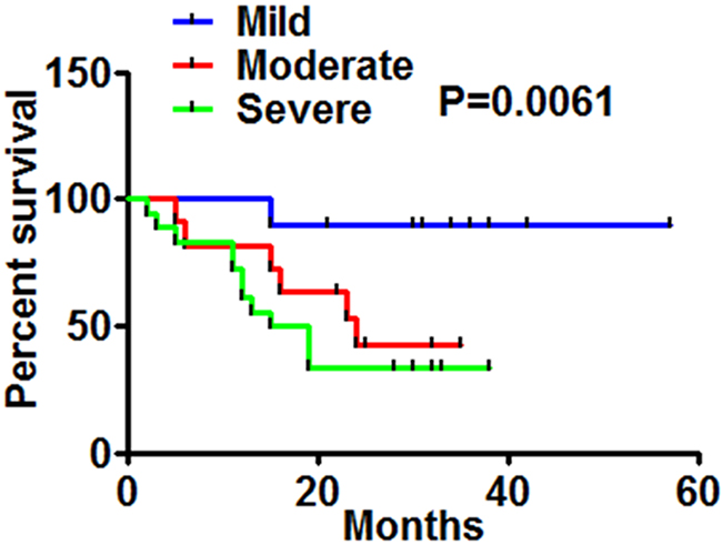 Correlation of OSAS in lung cancer patients and patients&#x2019; survival.