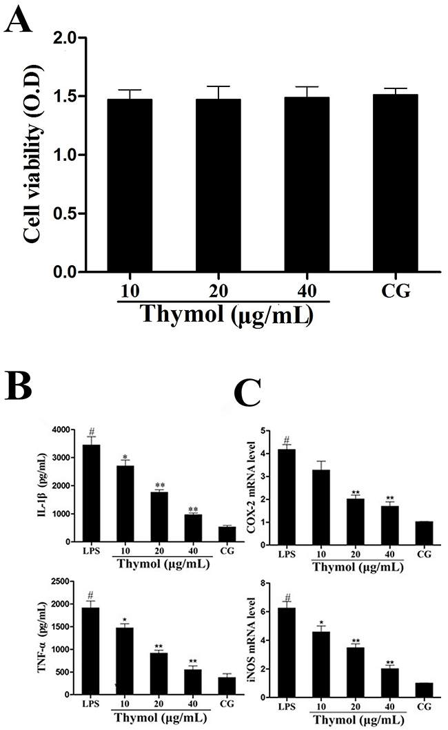 A. Effect of thymol on the cell viability of RAW264.7 cells.