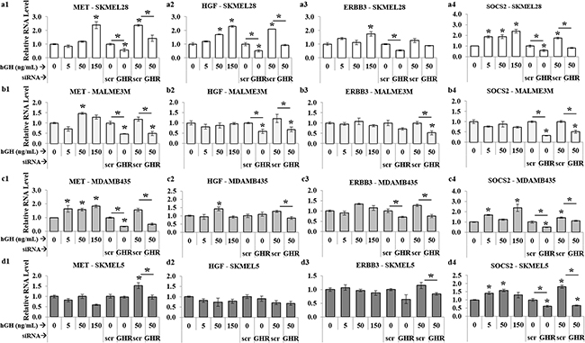 GH-excess increases and GHRKD decreases HGF, MET, ERBB3 RNA-levels in human melanoma cells.