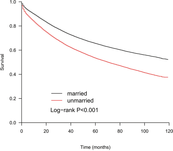 The Kaplan-Meier curves show that the OS of the married patients is better than that of the unmarried patients (p&#x003C;0.001).