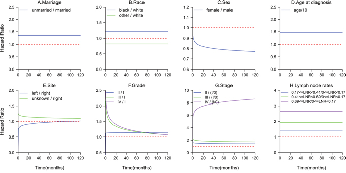 Time-varying effect of each factor on all-cause mortality.