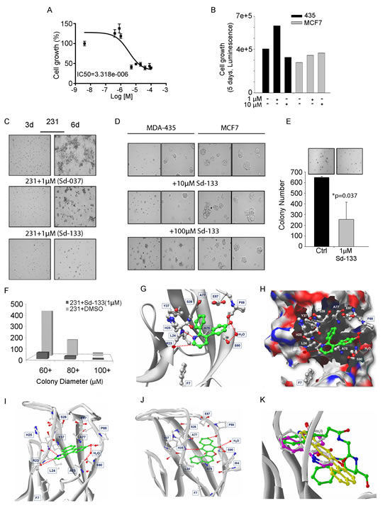 Development of small molecule inhibitors and their effect on CDH11 function-inhibition.
