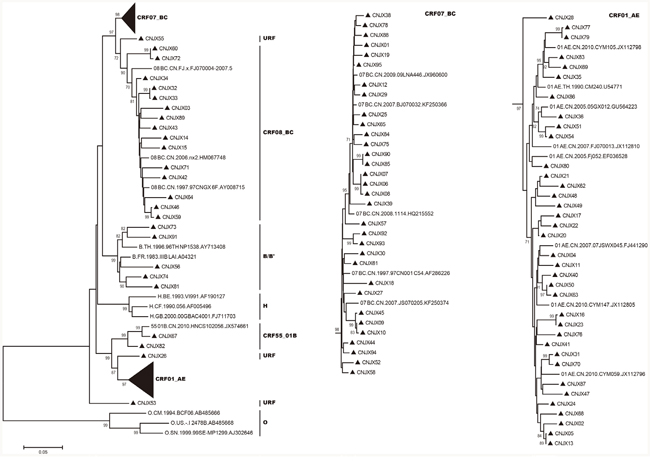 Phylogenetic trees of HIV-1 pol genes were constructed using MEGA 5 based on neighbor-joining methods.