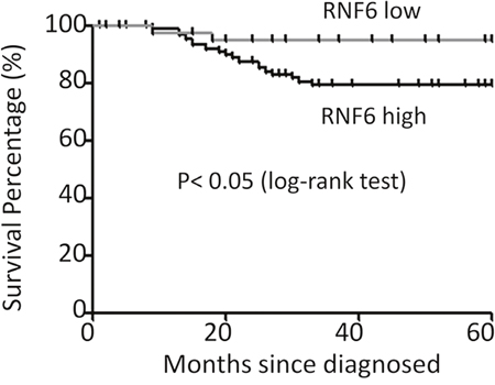 RNF6 is a negative index for the survival of breast cancer patients.