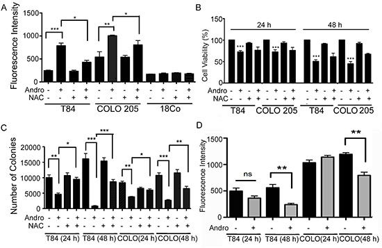 Andrographolide induces ROS generation in colon cancer cells.