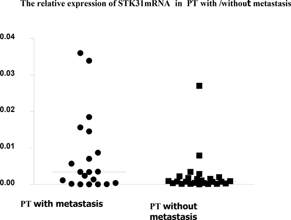 The relative STK31mRNA expression in primary tumor samples from patients with metastasis is significantly higher than in those without metastasis (0.00778 &#x00B1; 0.0108 VS 0.00240 &#x00B1; 0.0531, P = 0.003).