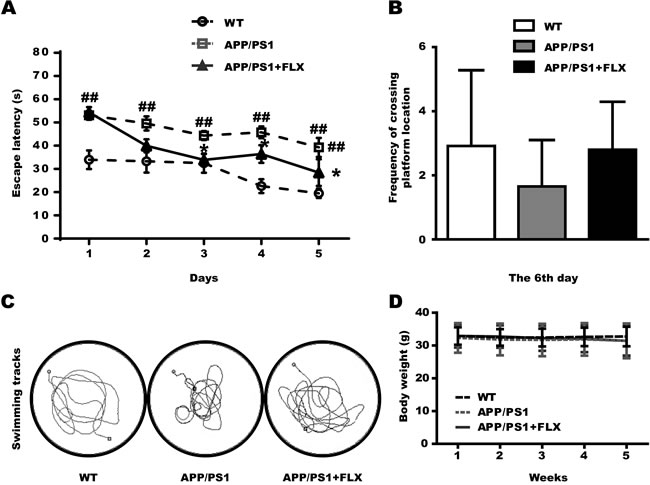 Assessment of the effect of FLX on learning and memory impairment in middle-aged APP/PS1 transgenic mice tested in the Morris water maze and the effect of FLX on body weight of middle-aged APP/PS1 mice.