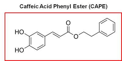 Chemical structure of caffeic acid phenyl ester (CAPE), a key component of honey-bee propolis.