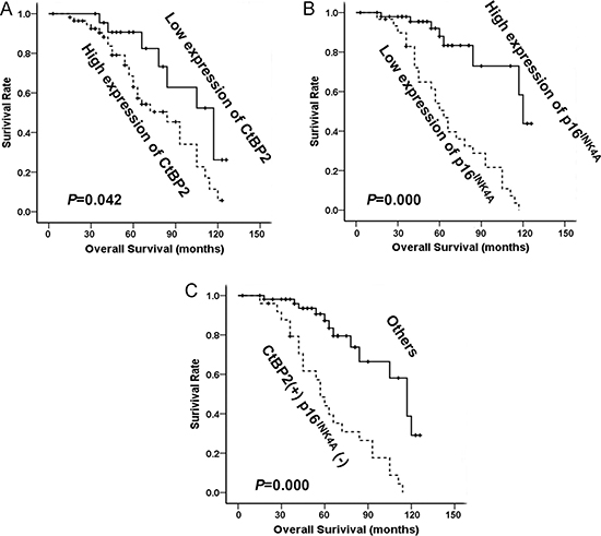 The relationship between CtBP2, p16INK4A and patient survival.