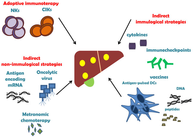 The three main strategies of HCC immunotherapy