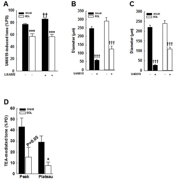 Effect of an agonist and TEA on vascular tone in pressurized mesenteric arteries from SHAM- and BDL-rats.