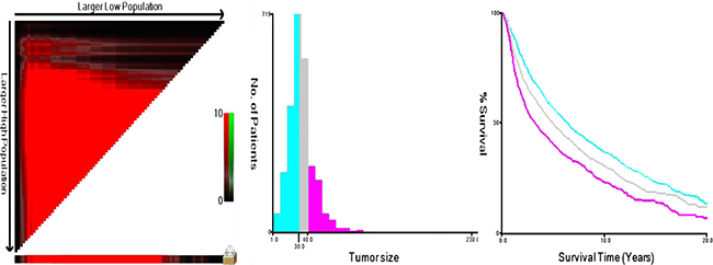 X-tile analysis identifying optimal tumor size cutoffs based on OS.