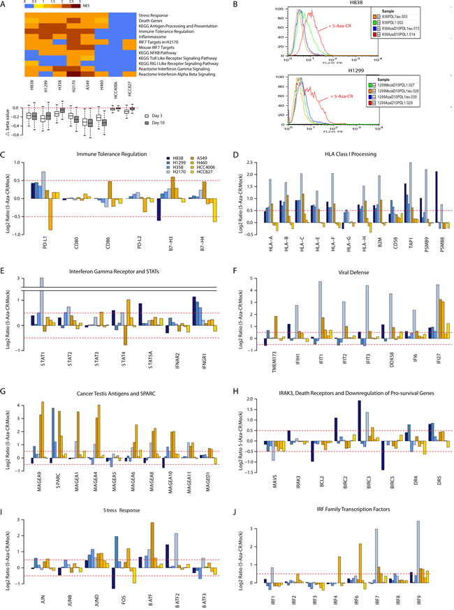 Azacytidine alters gene expression in NSCLC cell lines for multiple immune related pathways.