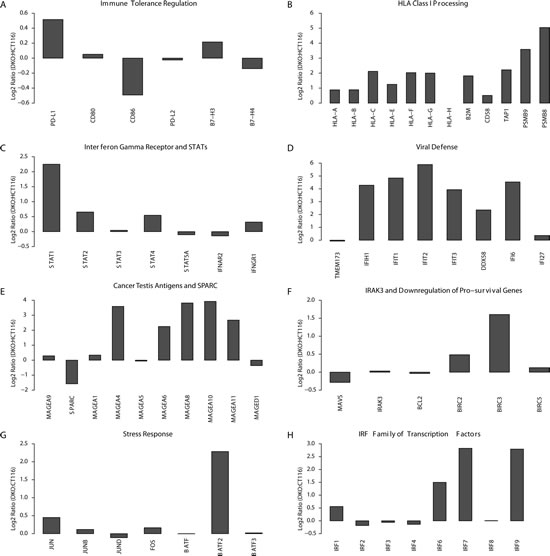 Genetic knock out of DNA Methyltransferases mimics the effects of azacytidine mediated immune pathway up-regulation.