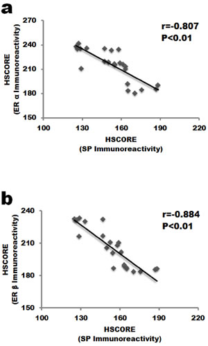 Correlation analysis between the expression of ERs and SP in the nucleus pulposus cells.