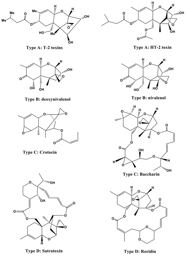 Structures of T-2 and HT-2 toxins (type A) and other trichothecenes (types B, C, and D).