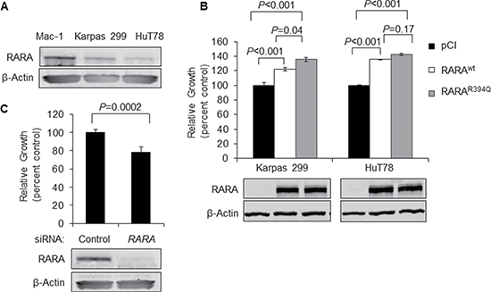 Overexpression of RARAwt or RARAR394Q drives T-cell lymphoma cell growth.